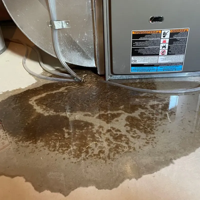 Pipe Burst and Leak Restoration in Osceola, IN